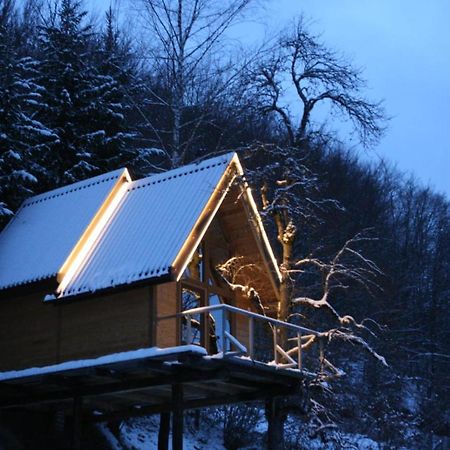 Tree House - Tara Place Mojkovac Esterno foto