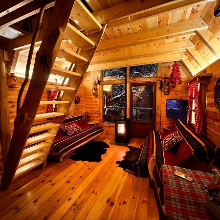 Tree House - Tara Place Mojkovac Esterno foto