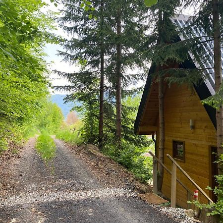 Tree House - Tara Place Mojkovac Esterno foto