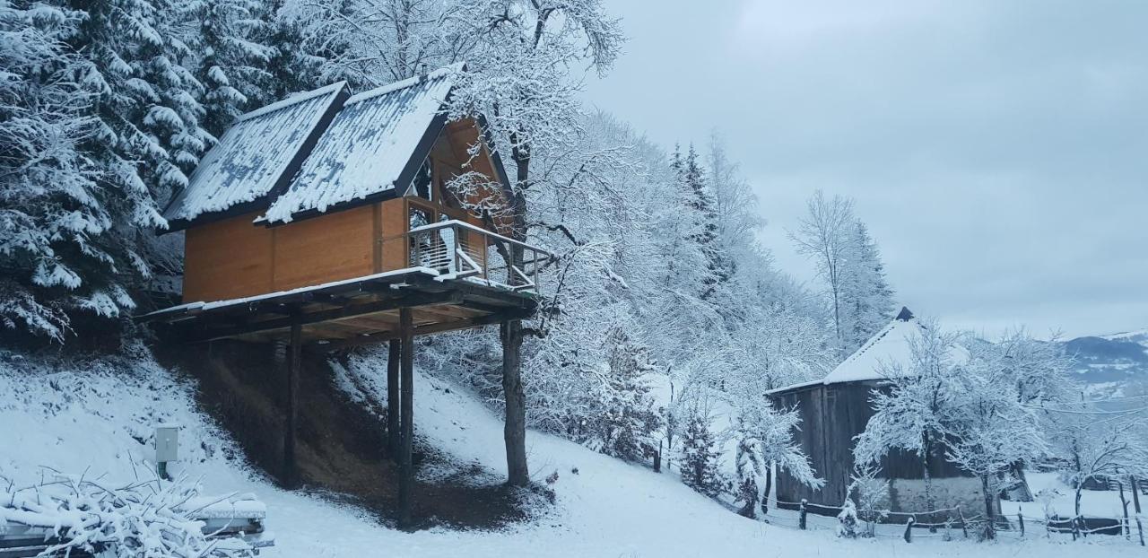 Tree House - Tara Place Mojkovac Esterno foto