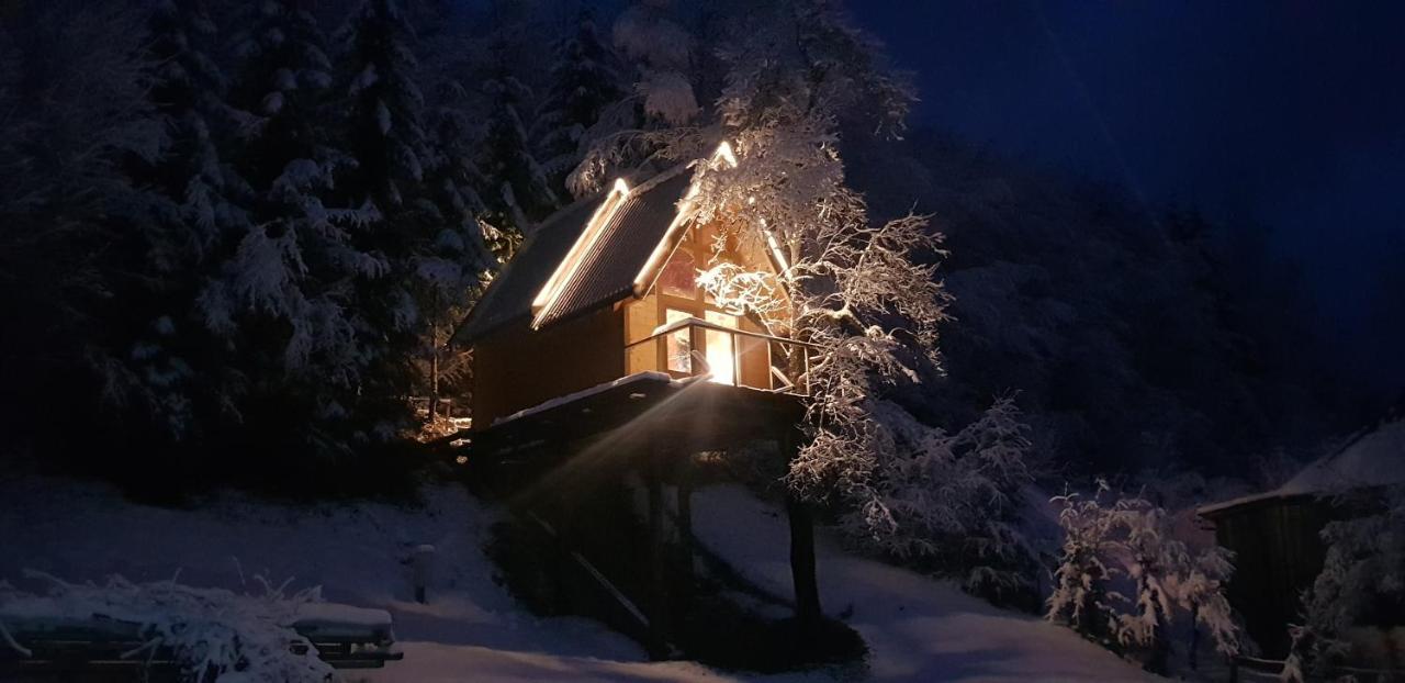 Tree House - Tara Place Mojkovac Esterno foto