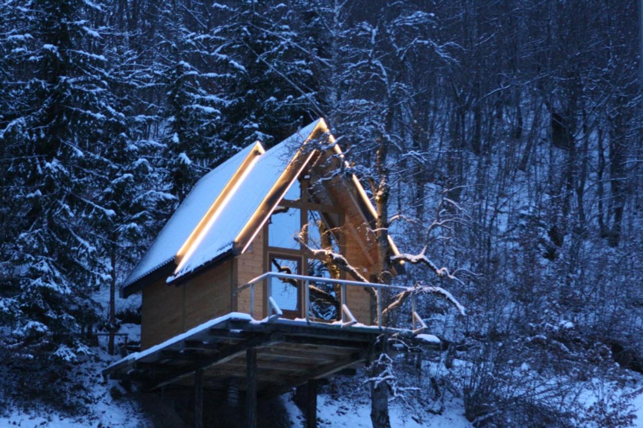 Tree House - Tara Place Mojkovac Esterno foto