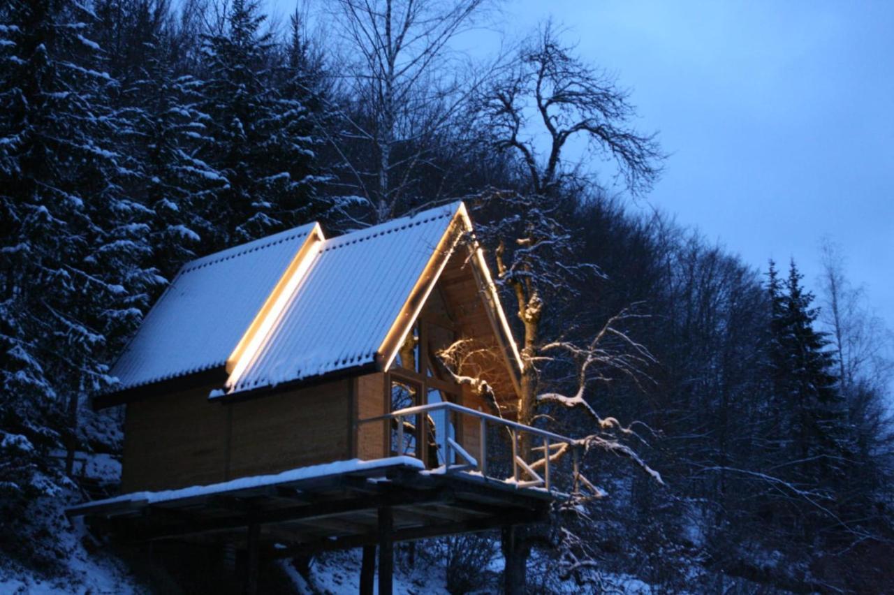 Tree House - Tara Place Mojkovac Esterno foto