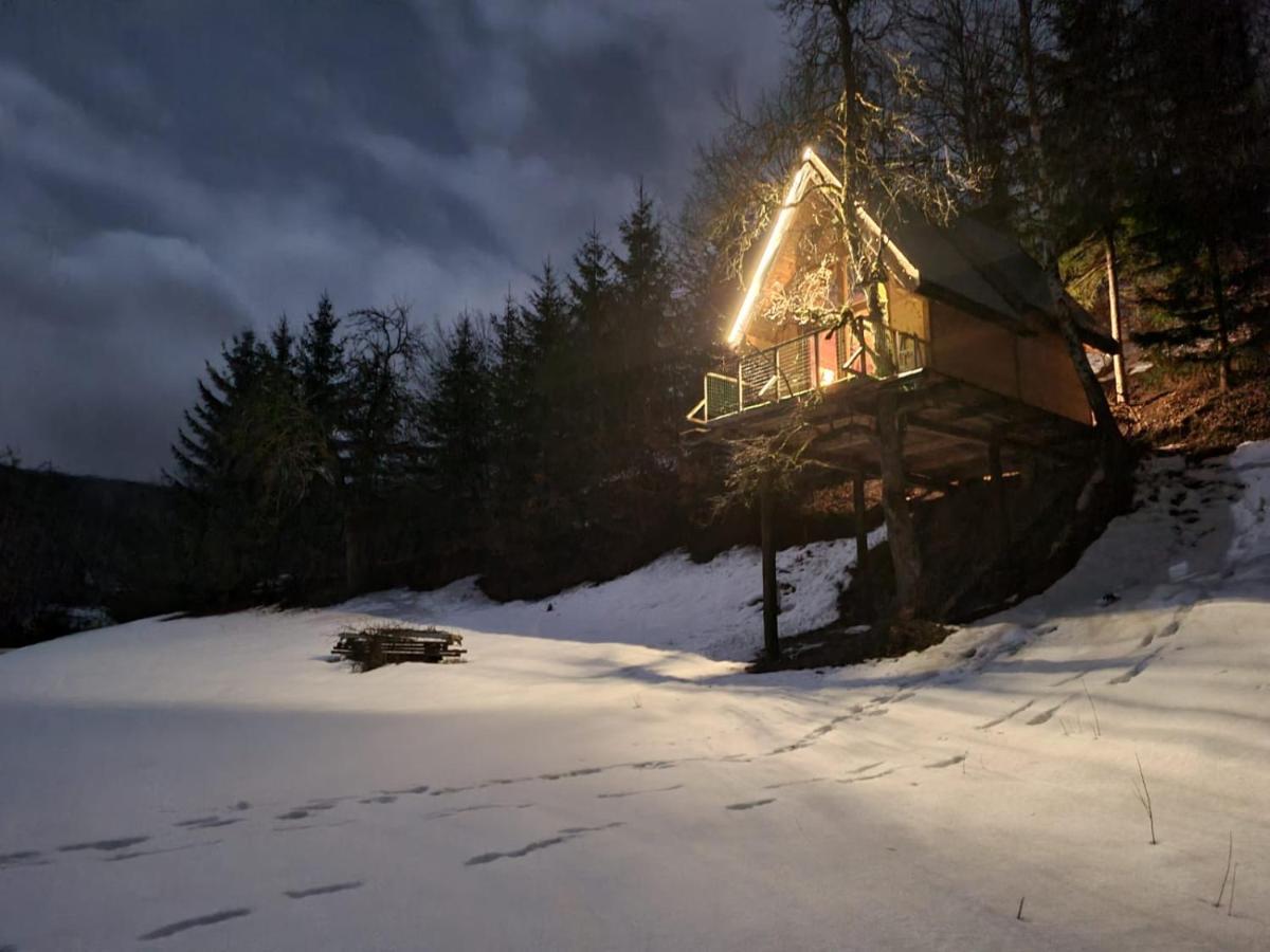 Tree House - Tara Place Mojkovac Esterno foto