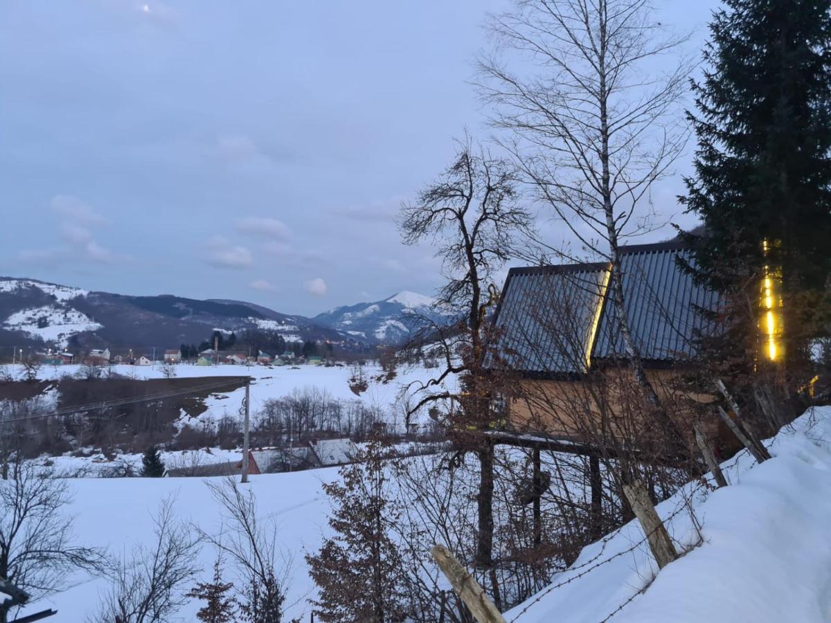 Tree House - Tara Place Mojkovac Esterno foto