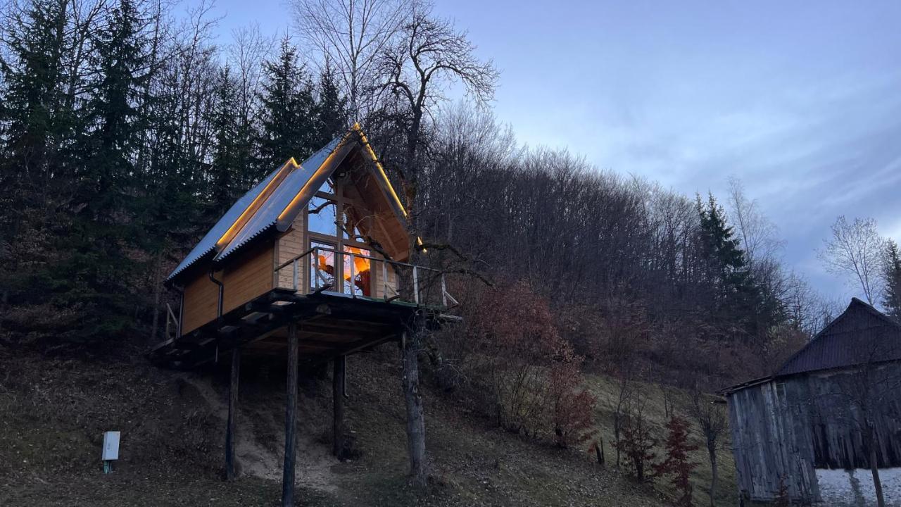 Tree House - Tara Place Mojkovac Esterno foto