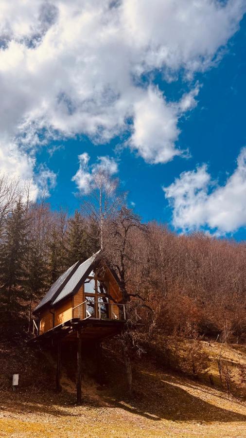 Tree House - Tara Place Mojkovac Esterno foto