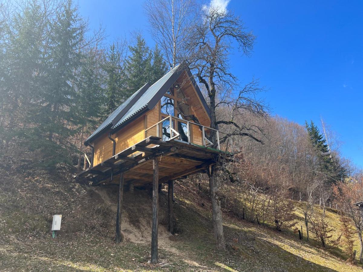 Tree House - Tara Place Mojkovac Esterno foto