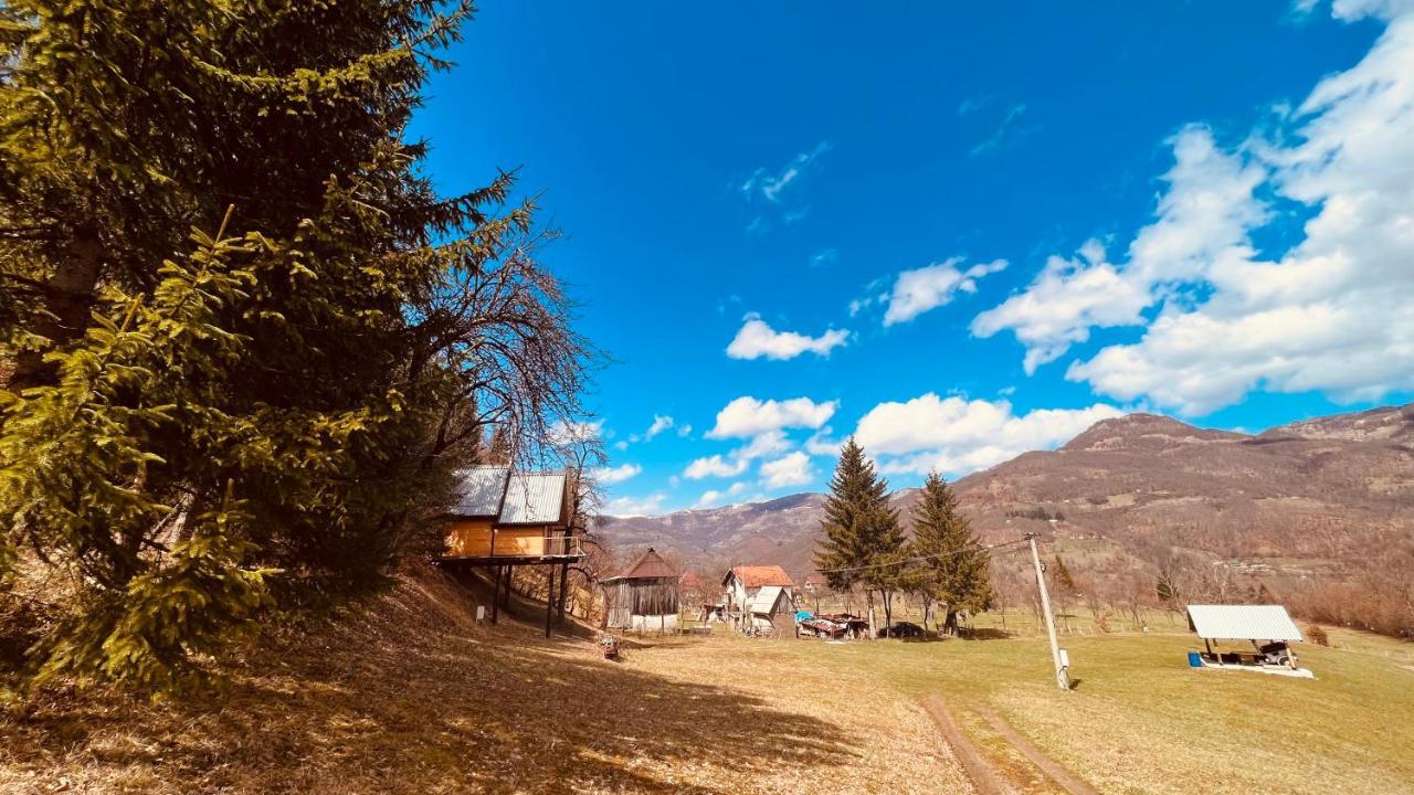 Tree House - Tara Place Mojkovac Esterno foto