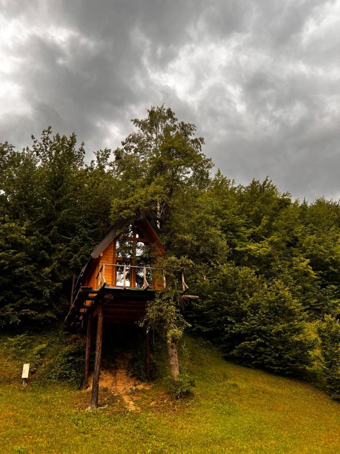 Tree House - Tara Place Mojkovac Esterno foto