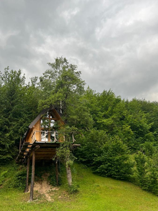 Tree House - Tara Place Mojkovac Esterno foto