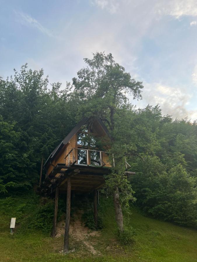 Tree House - Tara Place Mojkovac Esterno foto