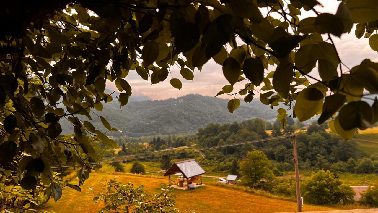 Tree House - Tara Place Mojkovac Esterno foto