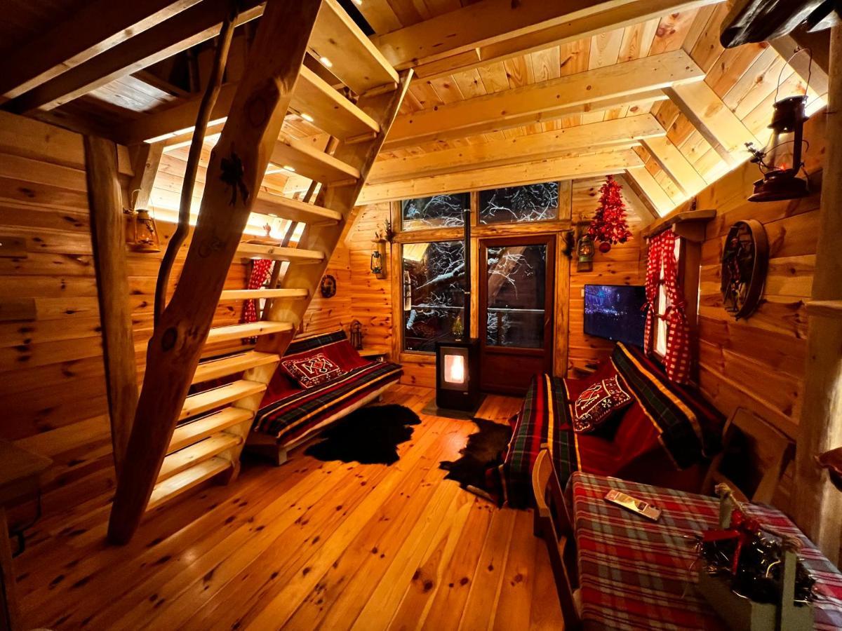 Tree House - Tara Place Mojkovac Esterno foto