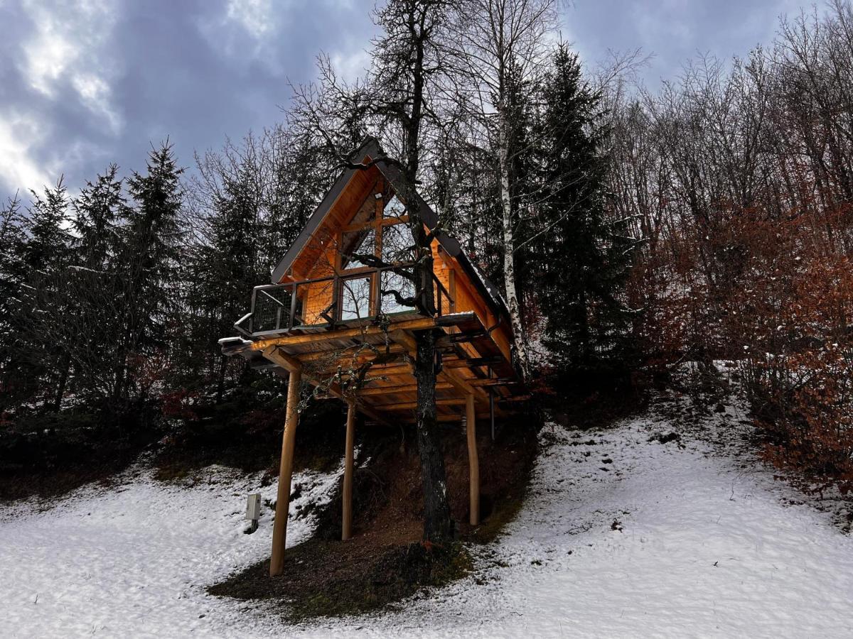 Tree House - Tara Place Mojkovac Esterno foto