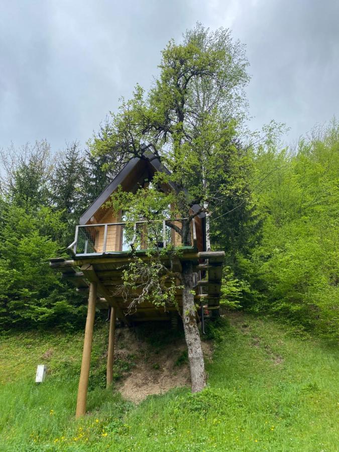 Tree House - Tara Place Mojkovac Esterno foto