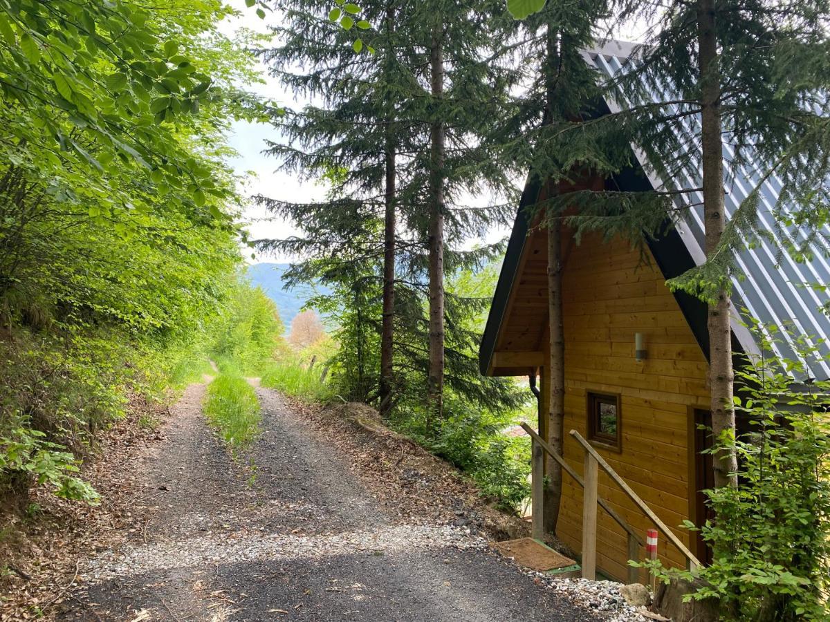 Tree House - Tara Place Mojkovac Esterno foto